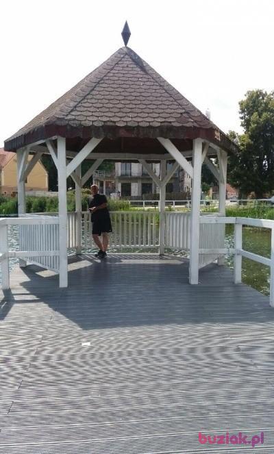 Grzegorz, Male, 52, Gorzów Wielkopolski, Polska, Photo: 4