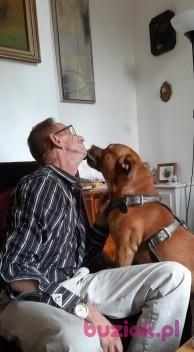 Ryszard, Male, 63, Hilton, Wielka Brytania, Photo: 7