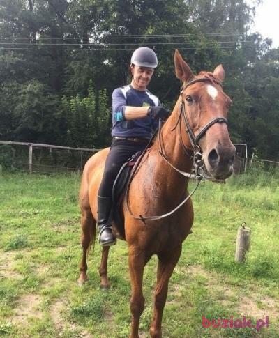 Lech, Male, 57, Mława, Polska, Photo: 4
