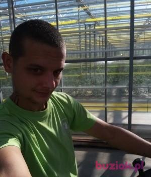 Mariusz, Mężczyzna, 38, Rotterdam, Holandia, Zdjęcie: 1