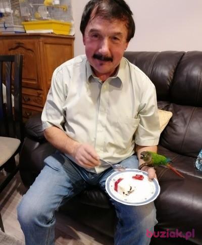 Zdzislaw, Mężczyzna, 69, Kraków, Polska, Zdjęcie: 5
