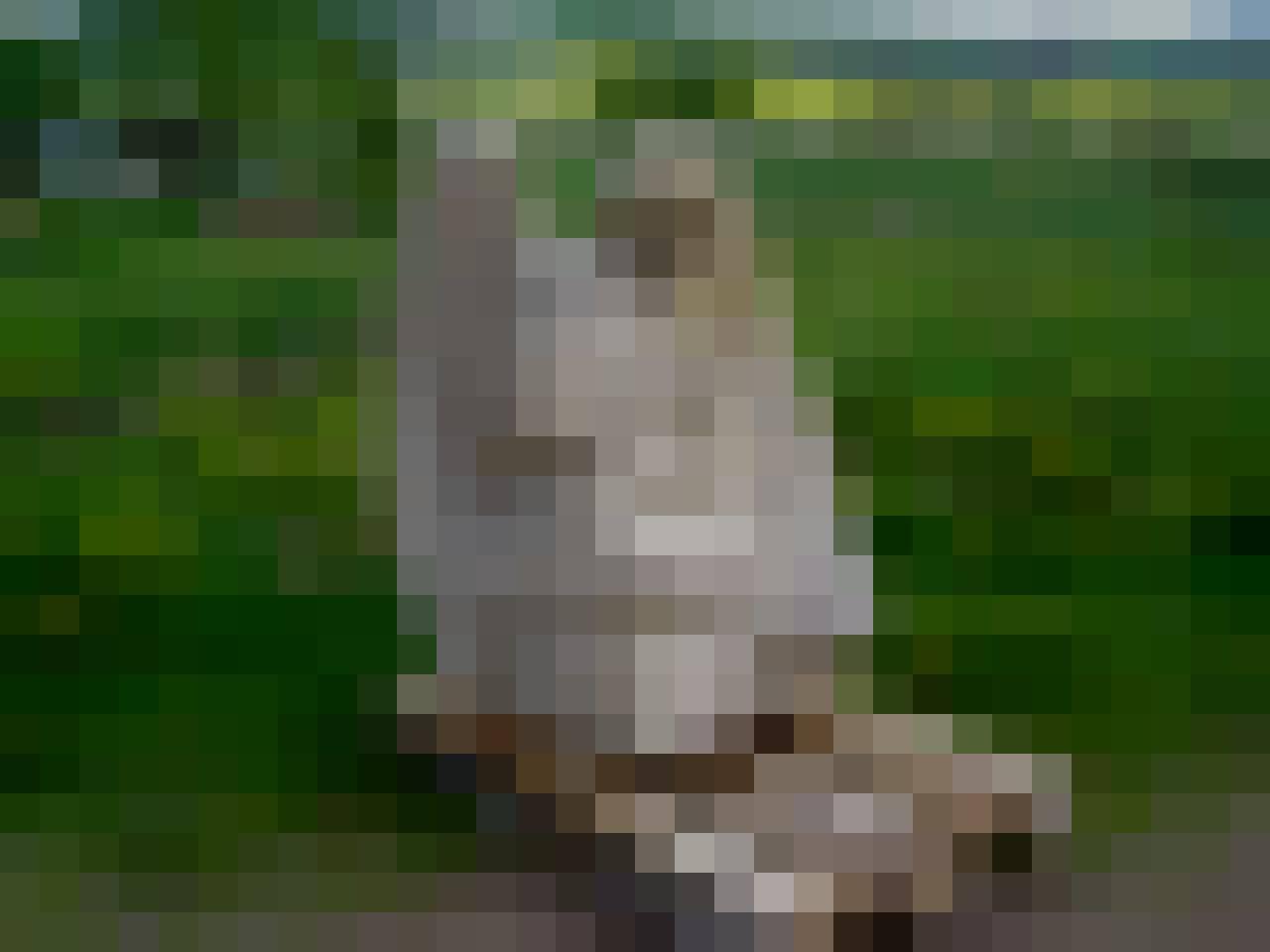 rzeźbyPawel, Male, 59, Wodzisław Śląski, Polska, Photo: 5