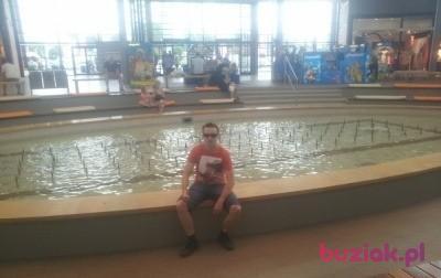 Mateusz, Mężczyzna, 39, Zabrze, Polska, Zdjęcie: 4