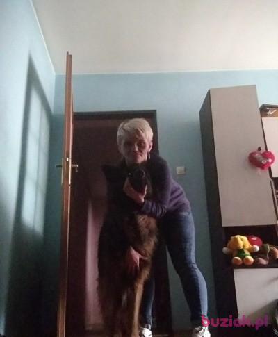 Katarzyna, Kobieta, 43, Świętochłowice, Polska, Zdjęcie: 6