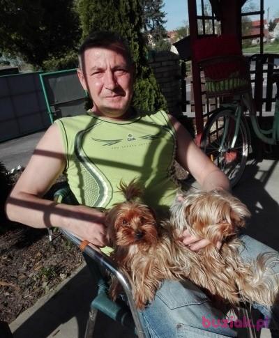 Jan, Male, 50, Szprotawa, Polska, Photo: 5