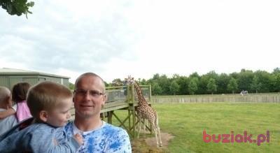Sławomir, Male, 39, Ryglice, Polska, Photo: 4