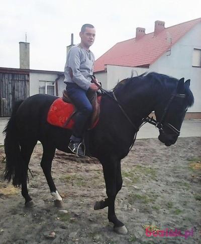 Mateusz, Male, 43, Gostyń, Polska, Photo: 3