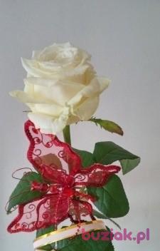 Henryk, Male, 41, Kielce, Polska, Photo: 4
