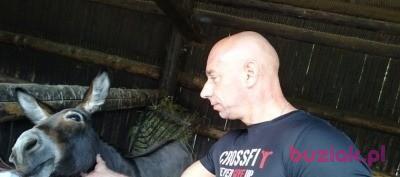 Robert, Mężczyzna, 48, Jelcz-Laskowice, Polska, Zdjęcie: 2