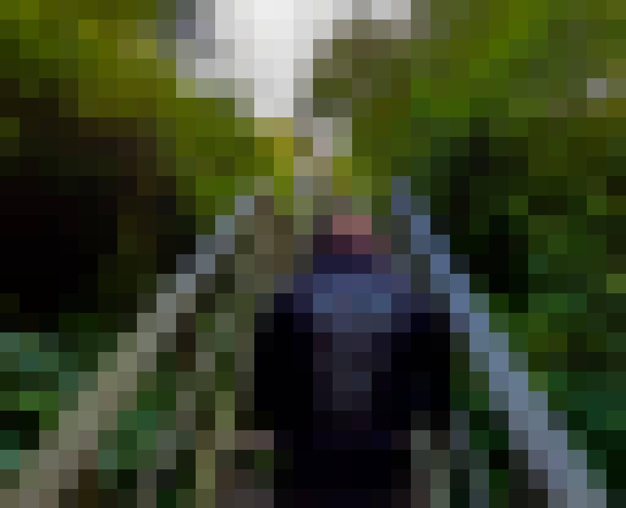 Dawid, Male, 34, Lisse, Holandia, Photo: 3