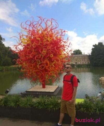 Rafal, Male, 37, Wielka Brytania, Photo: 3