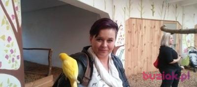 Agnieszka, Female, 46, Chorzów, Polska, Photo: 2