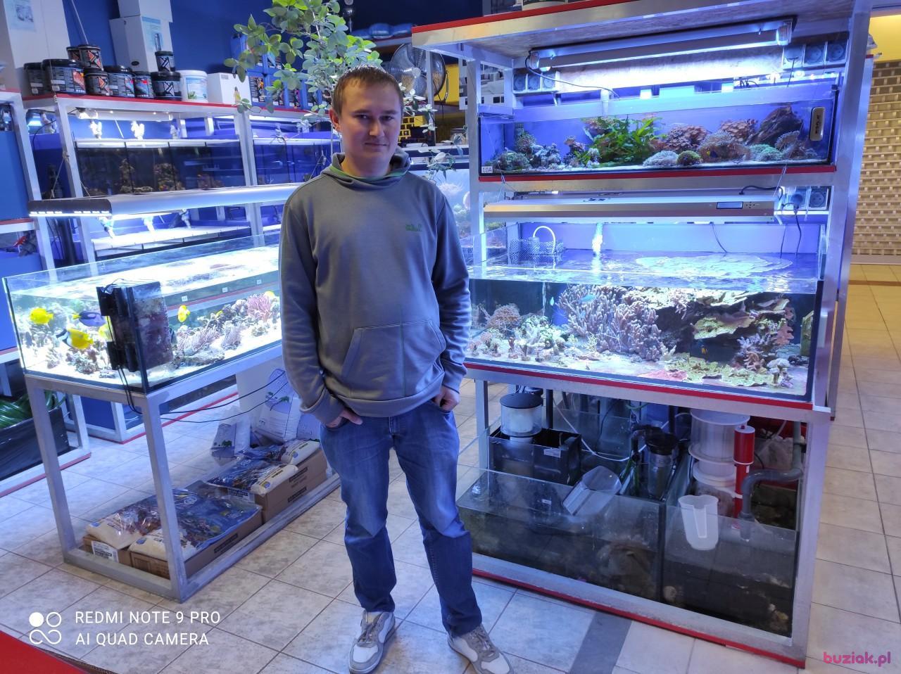 Michał, Mężczyzna, 37, Zgierz, Polska, Zdjęcie: 65