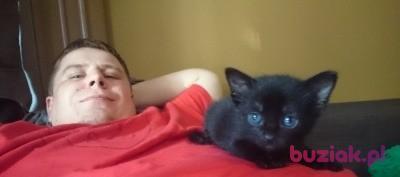 Dawid, Male, 38, Lisse, Holandia, Photo: 3