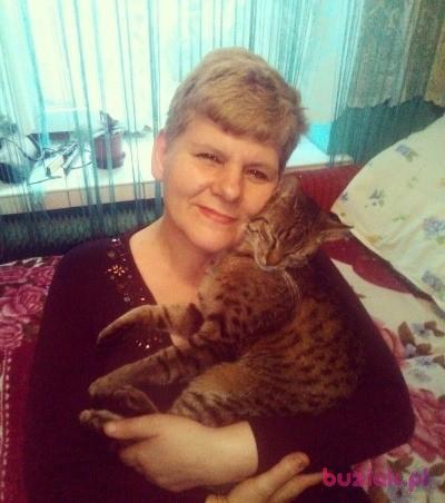 Krystyna, Kobieta, 61, Kędzierzyn-Koźle, Polska, Zdjęcie: 4