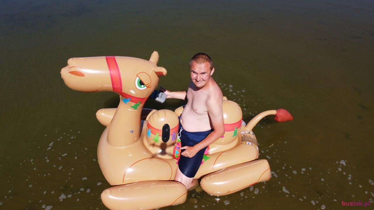 Michał, Mężczyzna, 37, Zgierz, Polska, Zdjęcie: 464