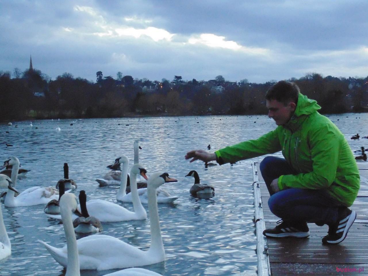 Mariusz, Male, 43, Bochnia, Polska, Photo: 1