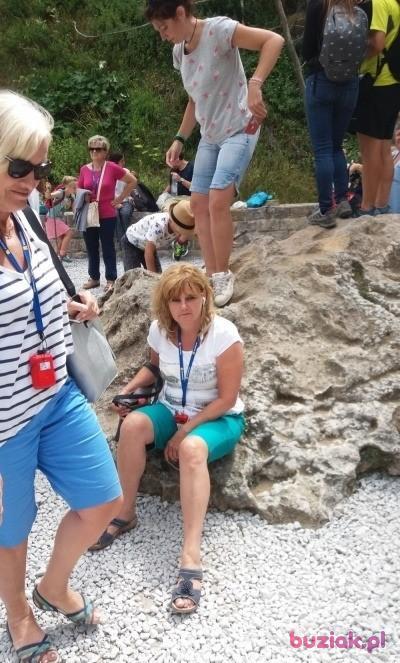 Elzbieta, Kobieta, 60, Toruń, Polska, Zdjęcie: 2