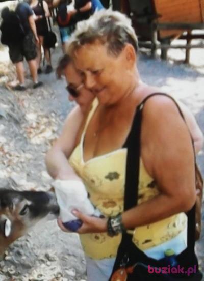 Mirosława, Kobieta, 79, Krapkowice, Polska, Zdjęcie: 2