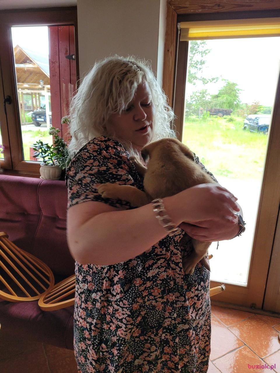 Magdalena, Female, 48, Włocławek, Polska, Photo: 3