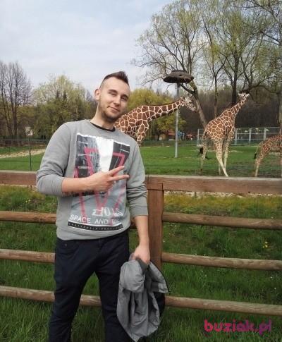 Rafał, Mężczyzna, 31, Katowice, Polska, Zdjęcie: 2