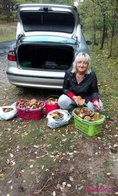 sara20, Female, 64, Świebodzice, Polska, Photo: 6