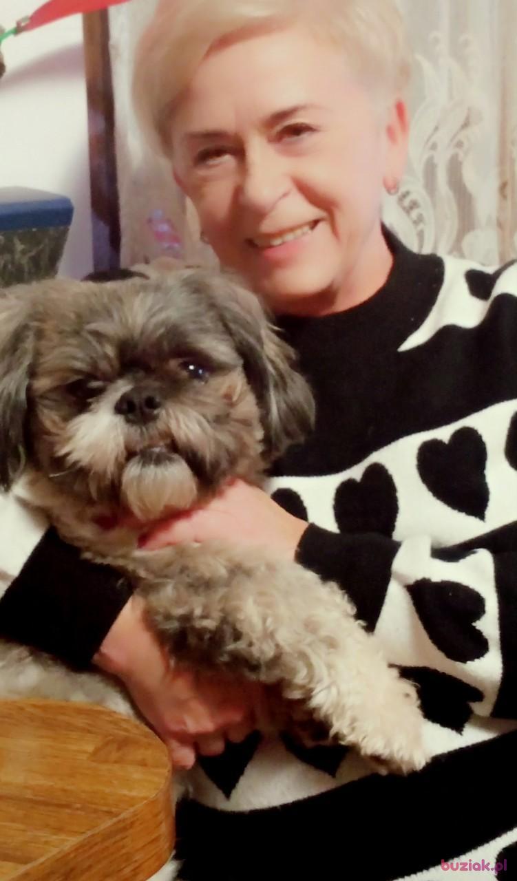 Krysia, Kobieta, 67, Mielec, Polska, Zdjęcie: 6