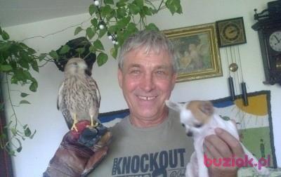 marek, Male, 72, Olkusz, Polska, Photo: 6