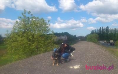 pati, Kobieta, 39, Siemianowice Śląskie, Polska, Zdjęcie: 1