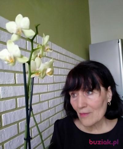 Nadia, Kobieta, 75, Brodnica, Polska, Zdjęcie: 2