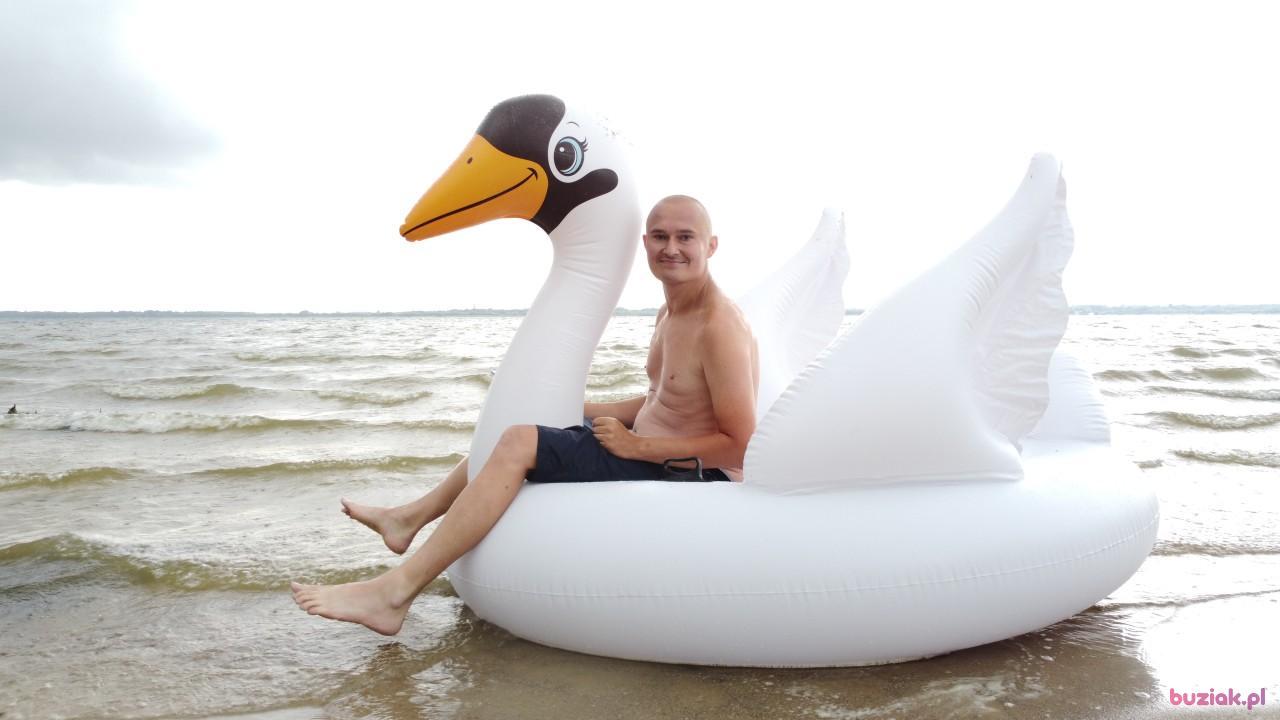 Michał, Mężczyzna, 37, Zgierz, Polska, Zdjęcie: 526