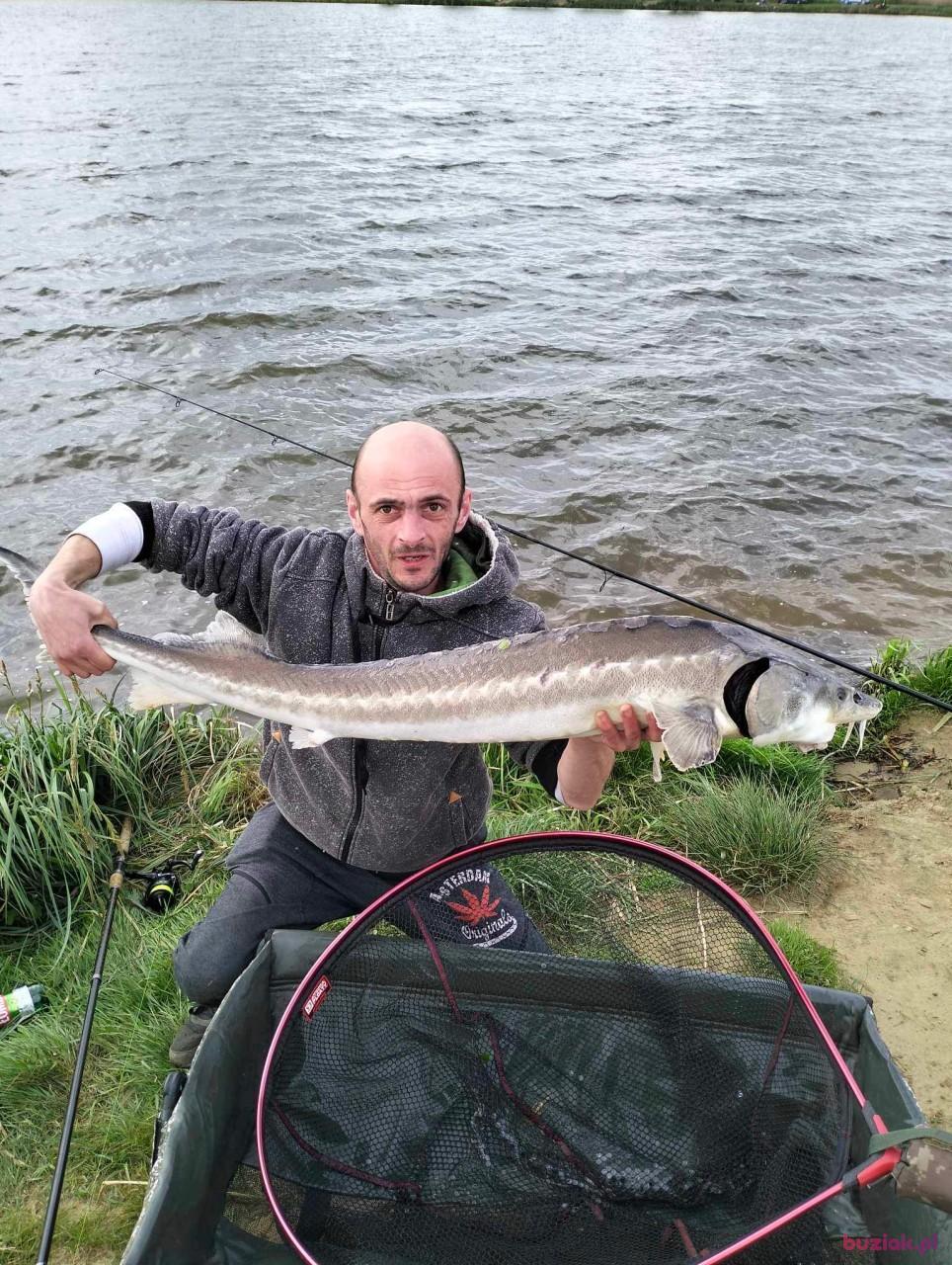 pawel, Male, 43, Legnica, Polska, Photo: 4