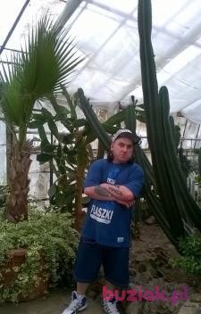 Kamil, Male, 39, Wałbrzych, Polska, Photo: 3