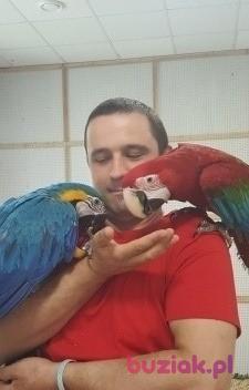 Sebastian, Mężczyzna, 41, Kraków, Polska, Zdjęcie: 4