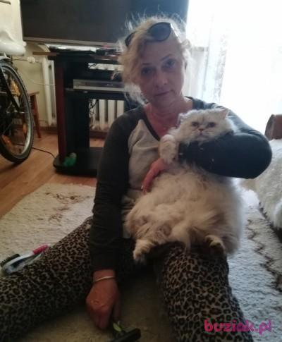 Gosik, Female, 60, Irlandia, Photo: 2