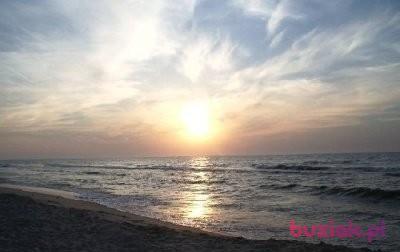 jendrek, Male, 58, Lublin, Polska, Photo: 4