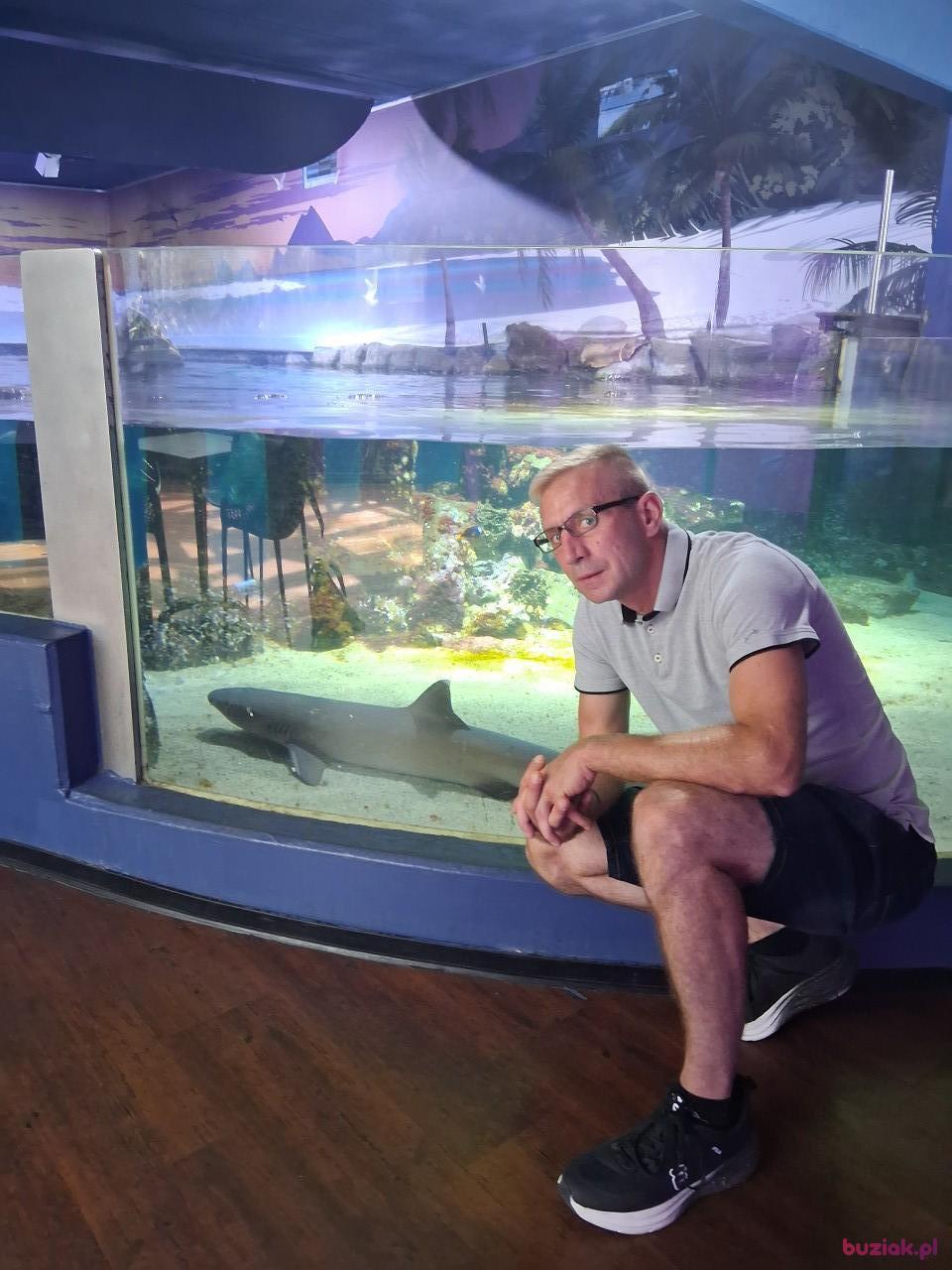 Marek, Mężczyzna, 46, Duisburg, Niemcy, Zdjęcie: 2