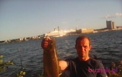 Artur, Male, 53, Bytom, Polska, Photo: 3