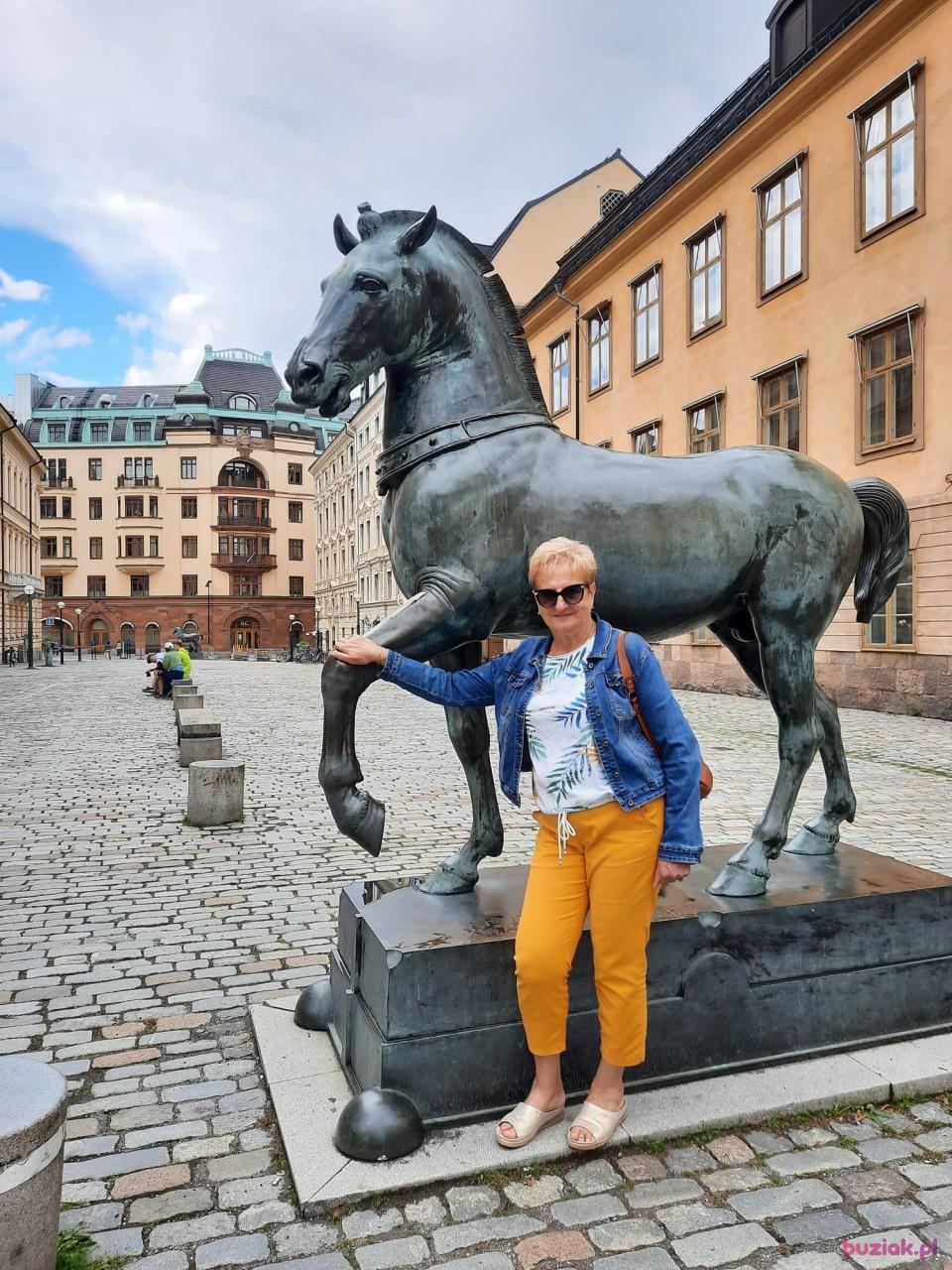 Mira, Female, 71, Lubliniec, Polska, Photo: 2