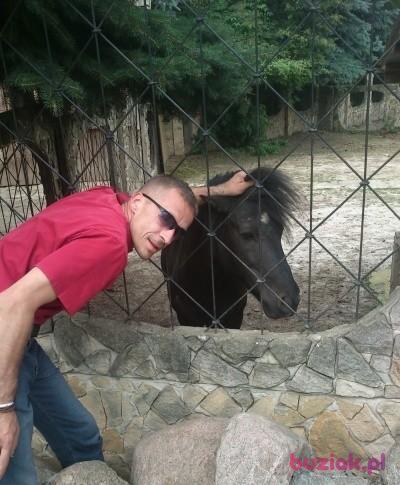seba, Mężczyzna, 52, Poznań, Polska, Zdjęcie: 3