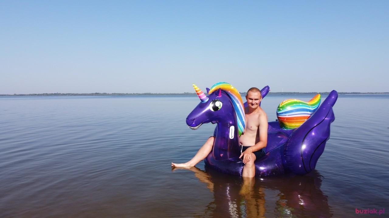 Michał, Mężczyzna, 37, Zgierz, Polska, Zdjęcie: 593