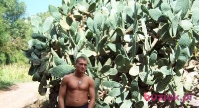 Mariusz, Mężczyzna, 39, Warszawa, Polska, Zdjęcie: 2