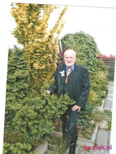Kazimierz, Mężczyzna, 82, Katowice, Polska, Zdjęcie: 1