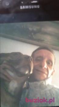 Ryszard, Male, 63, Hilton, Wielka Brytania, Photo: 9