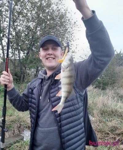 Daniel, Male, 33, Wielka Brytania, Photo: 2