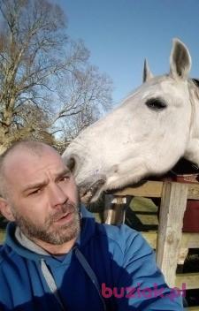 pgtips, Male, 51, Wielka Brytania, Photo: 5
