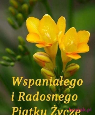 Wacek, Mężczyzna, 66, Skierniewice, Polska, Zdjęcie: 10