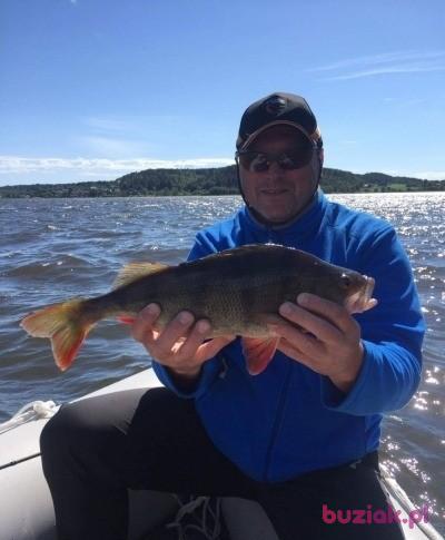 Slawek, Male, 60, Białystok, Polska, Photo: 3