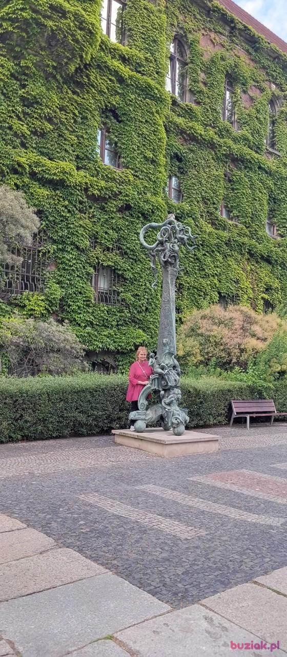 Lucyna, Kobieta, 58, Wrocław, Polska, Zdjęcie: 2