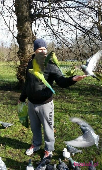 Aureliusz, Male, 49, Westminster, Wielka Brytania, Photo: 12